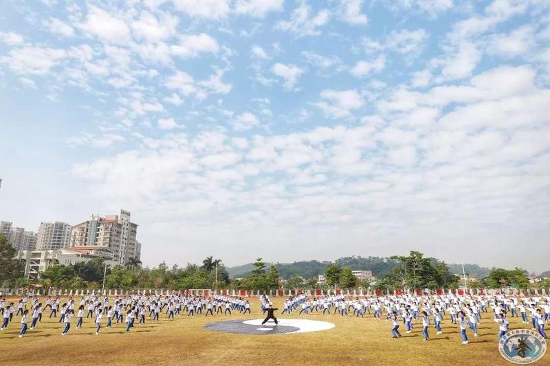 陈真太极 (4).jpg